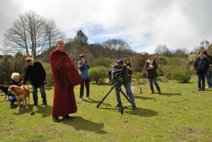 INTERVISTA TV CANARIA IV